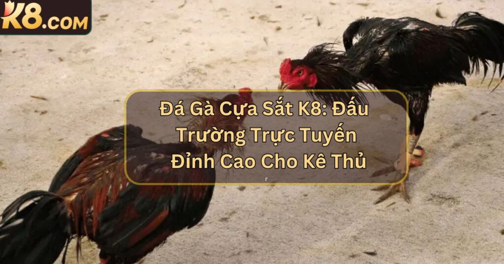 Đá Gà Cựa Sắt K8: Đấu Trường Trực Tuyến Đỉnh Cao Cho Kê Thủ 1 Đá Gà Cựa Sắt K8: Đấu Trường Trực Tuyến Đỉnh Cao Cho Kê Thủ