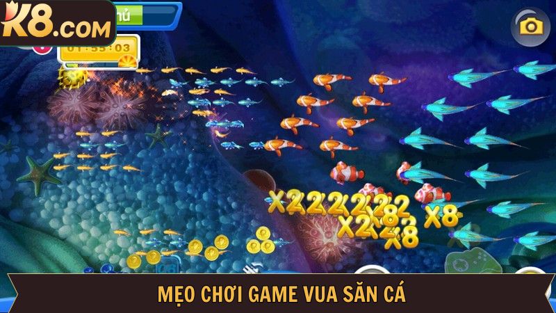 Vua Săn Cá K8 - Chinh Phục Biển Khơi, Rinh Về Thưởng Lớn 4 Bí quyết chinh phục săn cá thắng đậm chuẩn cao thủ