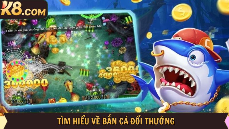 Bức tranh tổng quát về bắn cá đổi thưởng tại K8